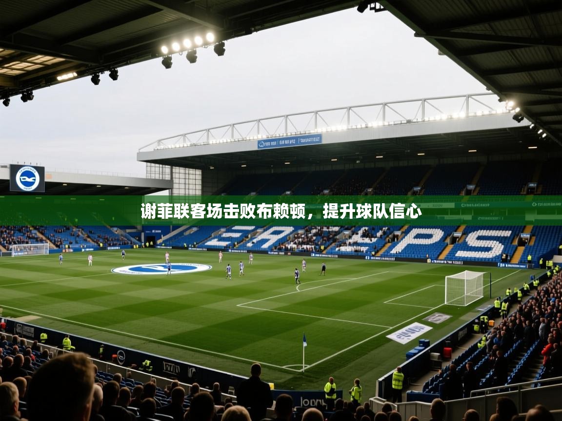 谢菲联客场击败布赖顿，提升球队信心