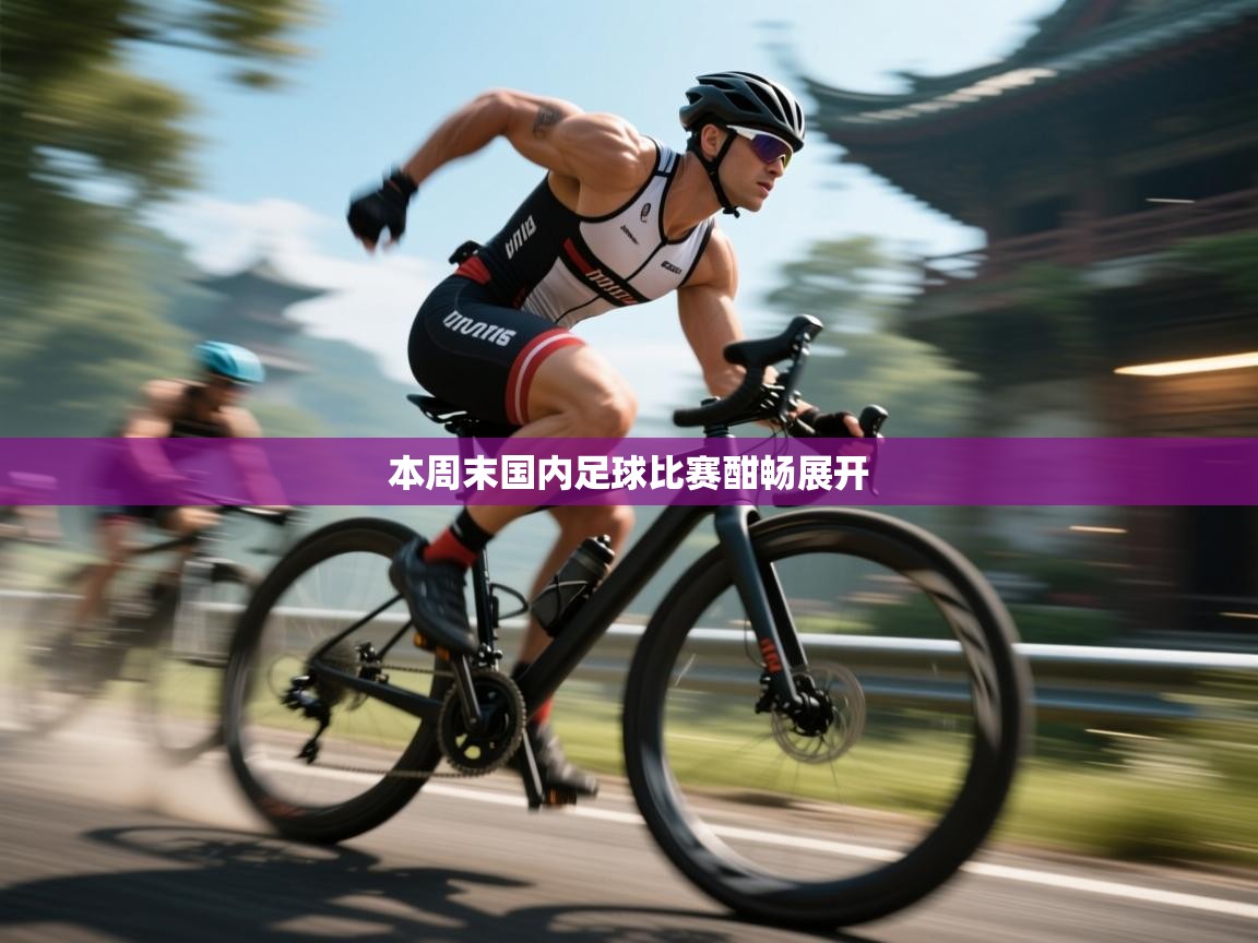 本周末国内足球比赛酣畅展开